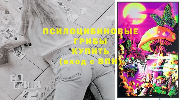 эйфоретик Тихвин
