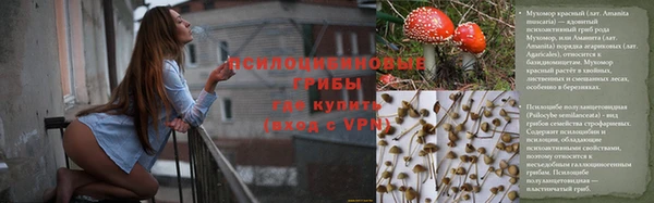 apvp Няндома