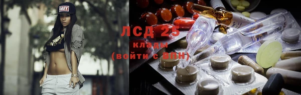 ГАЛЛЮЦИНОГЕННЫЕ ГРИБЫ Осташков
